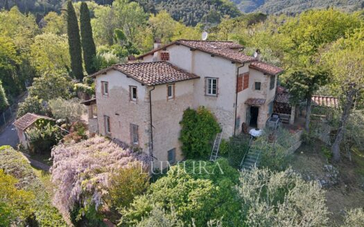 5 Bedrooms Country House in Camaiore