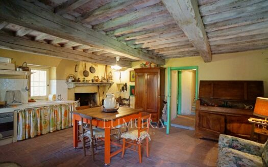 5 Bedrooms Country House in Camaiore