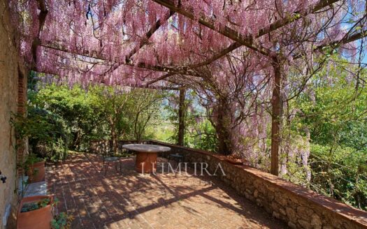 5 Bedrooms Country House in Camaiore