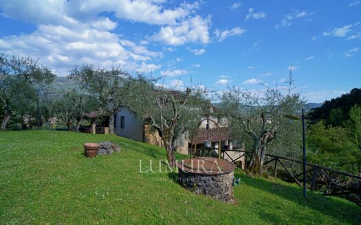 5 Bedrooms Country House in Camaiore