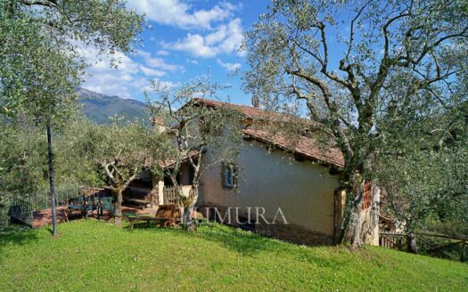 5 Bedrooms Country House in Camaiore