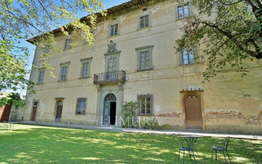 Majestic 18th Century Villa near Pisa