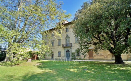 Majestic 18th Century Villa near Pisa