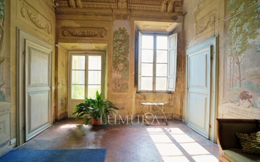 Majestic 18th Century Villa near Pisa