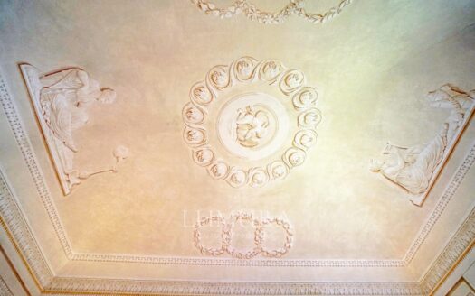 Majestic 18th Century Villa near Pisa