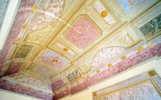 Majestic 18th Century Villa near Pisa