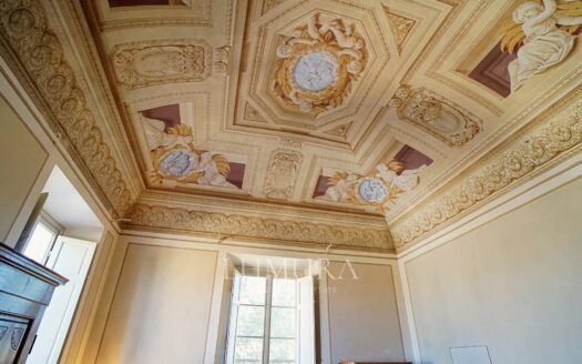 Majestic 18th Century Villa near Pisa