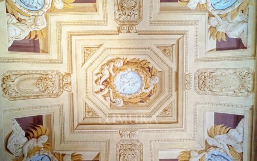 Majestic 18th Century Villa near Pisa
