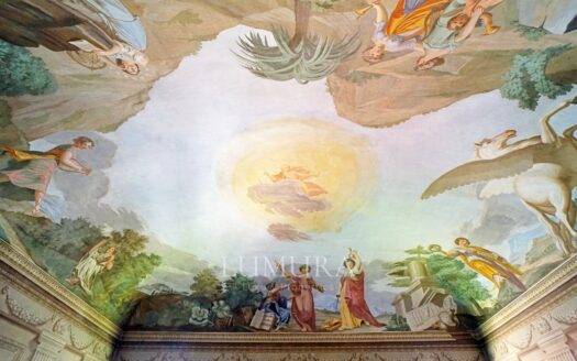 Majestic 18th Century Villa near Pisa