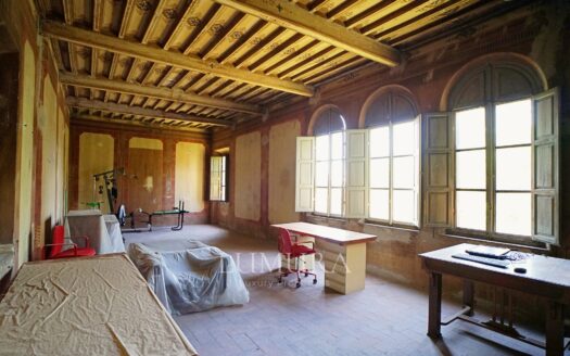 Majestic 18th Century Villa near Pisa