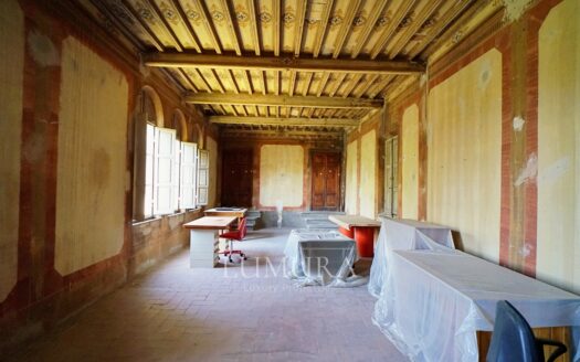 Majestic 18th Century Villa near Pisa