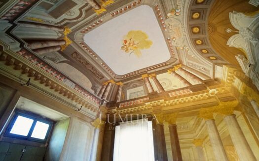Majestic 18th Century Villa near Pisa
