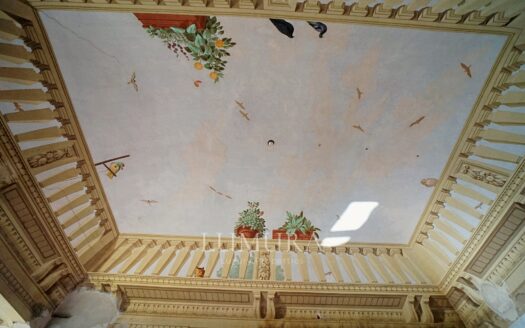 Majestic 18th Century Villa near Pisa