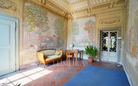 Majestic 18th Century Villa near Pisa