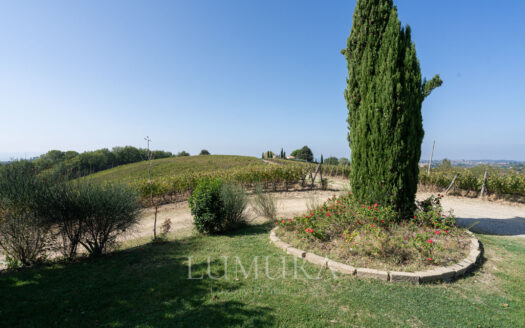 Country retreat with hotel and winery