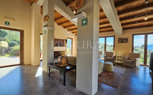 Hotel with restaurant, vineyard and olivegrove