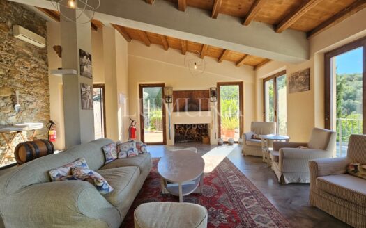 Hotel with restaurant, vineyard and olivegrove