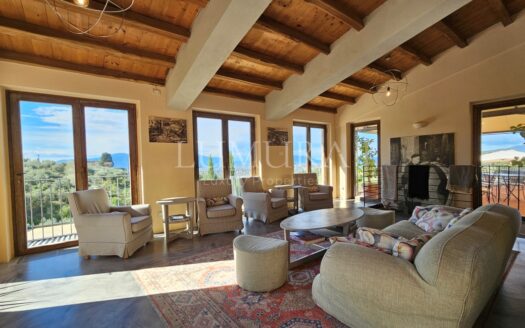 Hotel with restaurant, vineyard and olivegrove