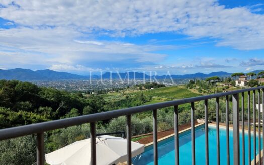 Hotel with restaurant, vineyard and olivegrove