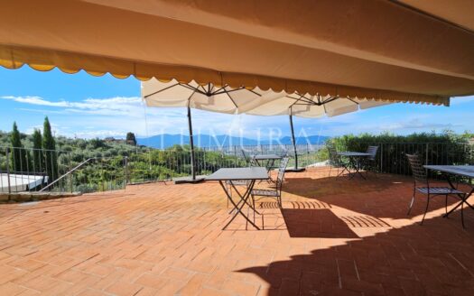 Hotel with restaurant, vineyard and olivegrove
