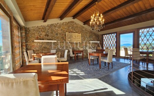 Hotel with restaurant, vineyard and olivegrove