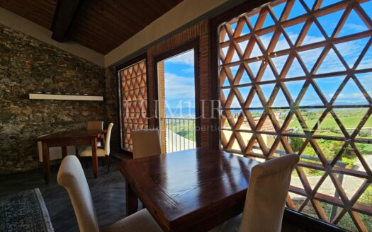 Hotel with restaurant, vineyard and olivegrove