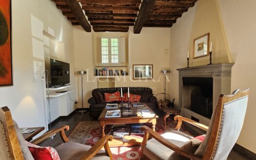 Hotel with restaurant, vineyard and olivegrove
