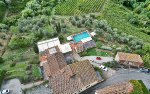 Hotel with restaurant, vineyard and olivegrove