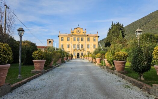 Luxury Villa Hotel with Restaurant