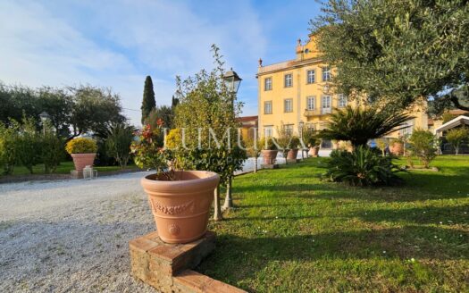 Luxury Villa Hotel with Restaurant