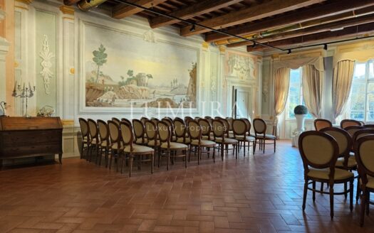 Luxury Villa Hotel with Restaurant