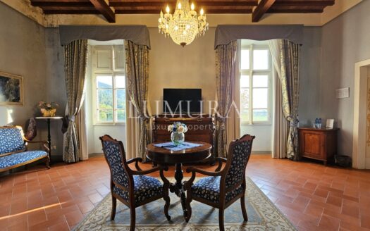 Luxury Villa Hotel with Restaurant