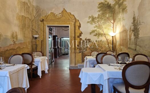 Luxury Villa Hotel with Restaurant