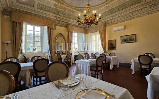 Luxury Villa Hotel with Restaurant