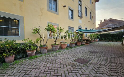 Luxury Villa Hotel with Restaurant