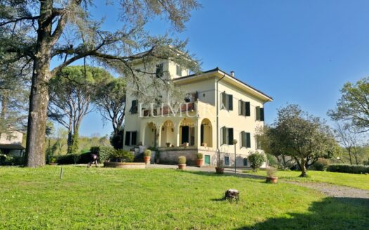 Large and Elegant Villa with Beautiful Park