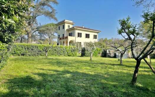 Large and Elegant Villa with Beautiful Park