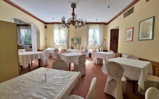 40-Bedroom Hotel in Lucca