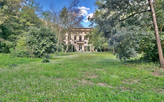 40-Bedroom Hotel in Lucca