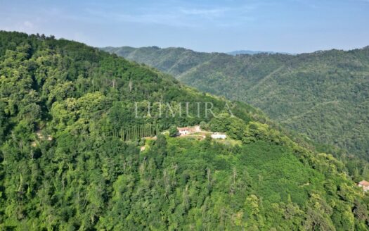 Sustainable Tuscan Estate with Superb Views