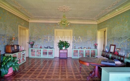 Iconic Neo-Gothic Lake Property For Sale