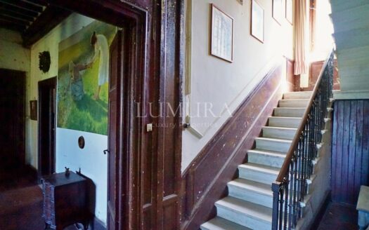 Iconic Neo-Gothic Lake Property For Sale