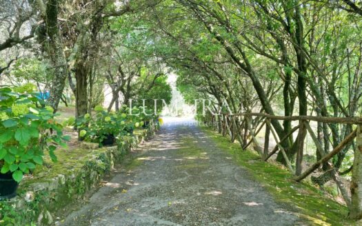 Magical Tuscan Hamlet with 14 Hectares near Lucca