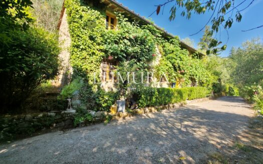 Magical Tuscan Hamlet with 14 Hectares near Lucca