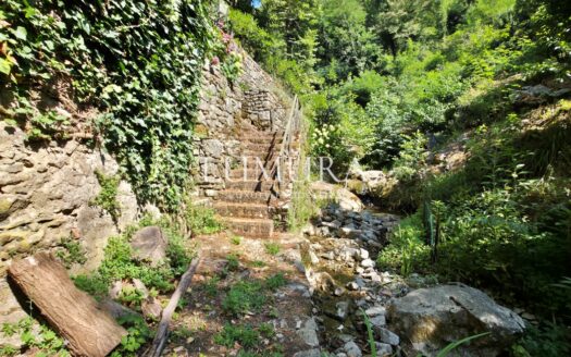 Magical Tuscan Hamlet with 14 Hectares near Lucca