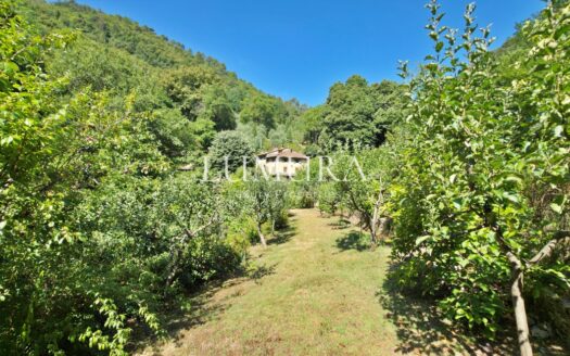 Magical Tuscan Hamlet with 14 Hectares near Lucca