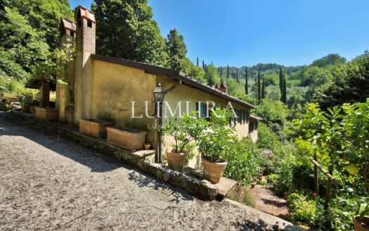 Magical Tuscan Hamlet with 14 Hectares near Lucca