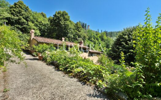 Magical Tuscan Hamlet with 14 Hectares near Lucca