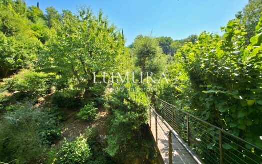 Magical Tuscan Hamlet with 14 Hectares near Lucca