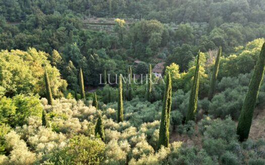 Magical Tuscan Hamlet with 14 Hectares near Lucca